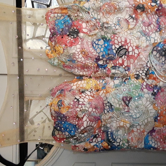 Pastel Lace Tie Dyed Rhinestone embellished gown. - Picture 4 of 8